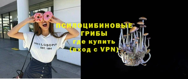 молекула духа Армянск